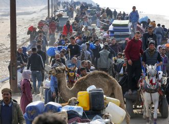 Rindërtimi i shtëpisë sime në Gaza pasi Trump dëshiron që unë të largohem. Kthimi i një gruaje të re në Gazën veriore